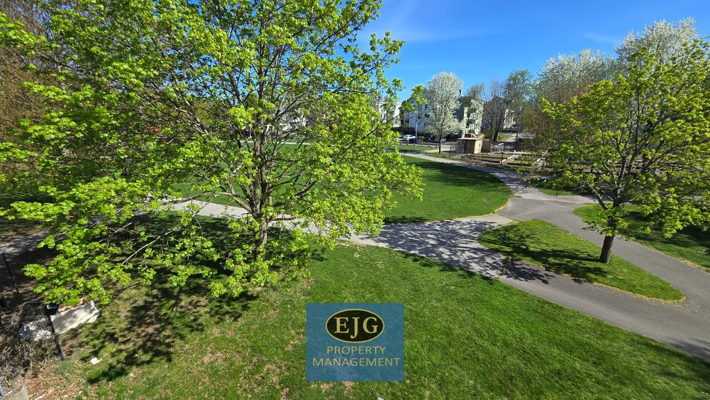 205-213 Pine Street - NEW - 205 1/2 - 1